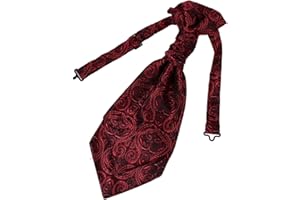 Epoint Cravat Necktie For Party Silk Pretied Ascot Cravat Tie 12 Inch Clip-On Adjustable