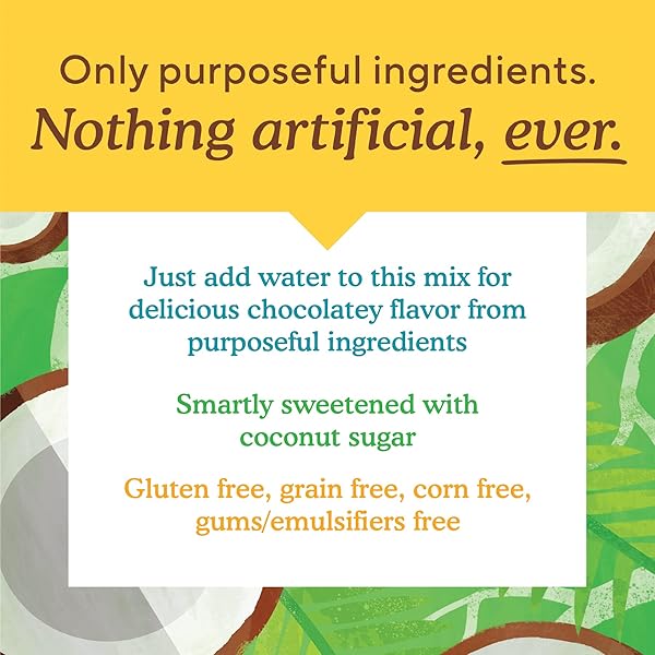 SIMPLE MILLS COCOA PANCAKE AND WAFFLE MIX, JUST ADD WATER, GLUTEN FREE, PALEO FRIENDLY, BREAKFAST, 10 OZ (1 PACK)