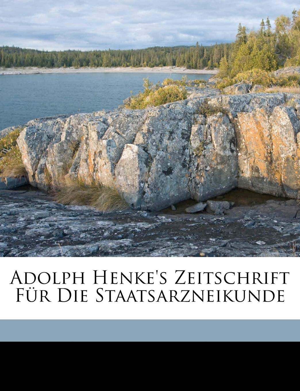 Zeitschrift Fur Die Staatsarzneikunde Sechster Jahrgang German