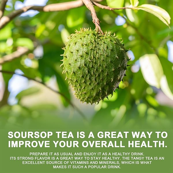 SOURSOP GRAVIOLA LEAF TEA BAGS, 100% NATURAL SOURSOP LEAVES FOR IMPROVE DIGESTION, SUPPORT HEALTHY SKIN & SLEEP, RICH IN POTENT ANTI-OXIDANTS, NON-GMO, CAFFEINE-FREE, 40 TEA BAGS