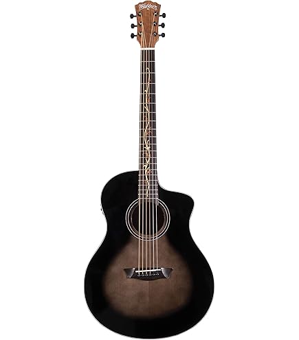 Amazon.com: Washburn Heritage Series HD10SCE12 12-String Acoustic