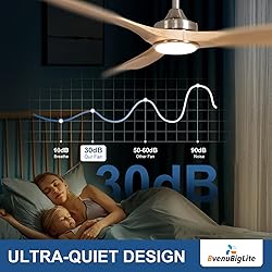 BvenuBigLite Outdoor Ceiling Fan with Light: 52