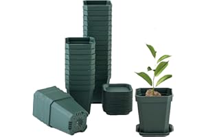 foxany 3" Plants Nursery Pot, 30 Pcs Thick Plastic Square Planting Pots, Plant Seedling Pots, Seed Starting Pots with 30 Saucers - Black-Green