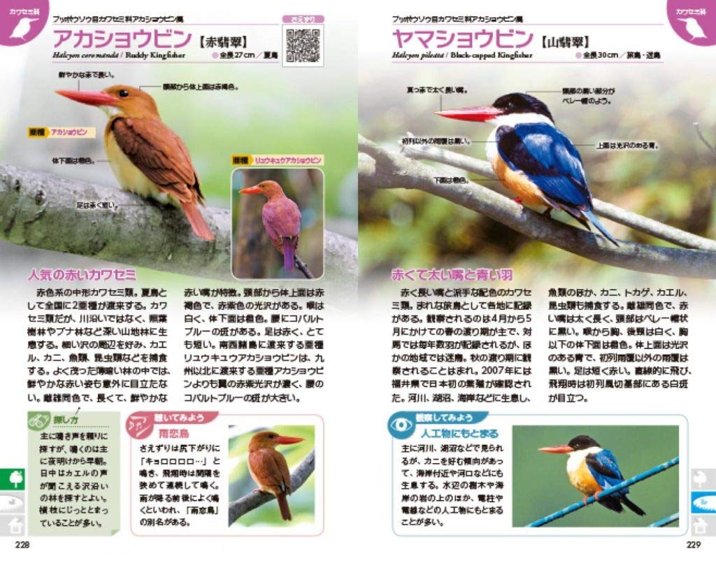 ついに再入荷 新 野鳥図鑑 第3集 池や湖の水鳥 海に舞う鳥 Dvd 品 Saleセール Viajesturisticosdelpacifico Com
