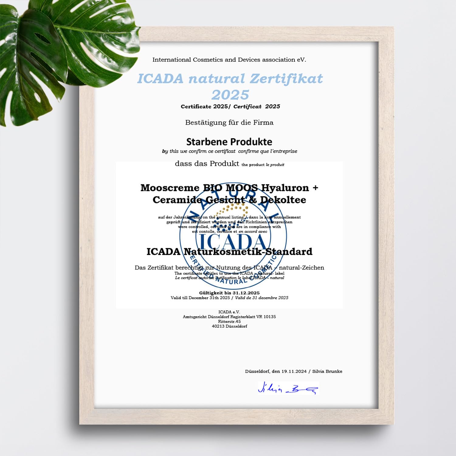 Moossalbe Gesicht Falten Testsieger, Zertifizierte Bio Anti Aging, Anti-Falten mit Isländisch Moos Extrakt, Hyaluronsäure, Ceramid & Aloe Vera, Tages Gesichtscreme für alle Hauttypen | Made in Germany 7