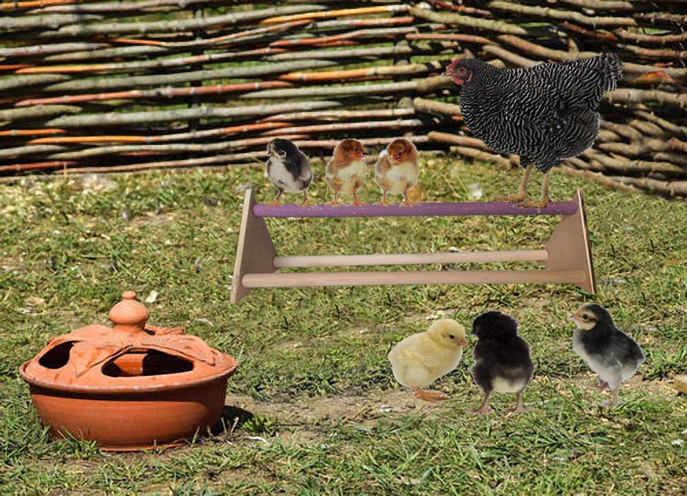 Vehomy Chicken Perch Chicken Wood Stand Chicken Toy for Hens Handmade