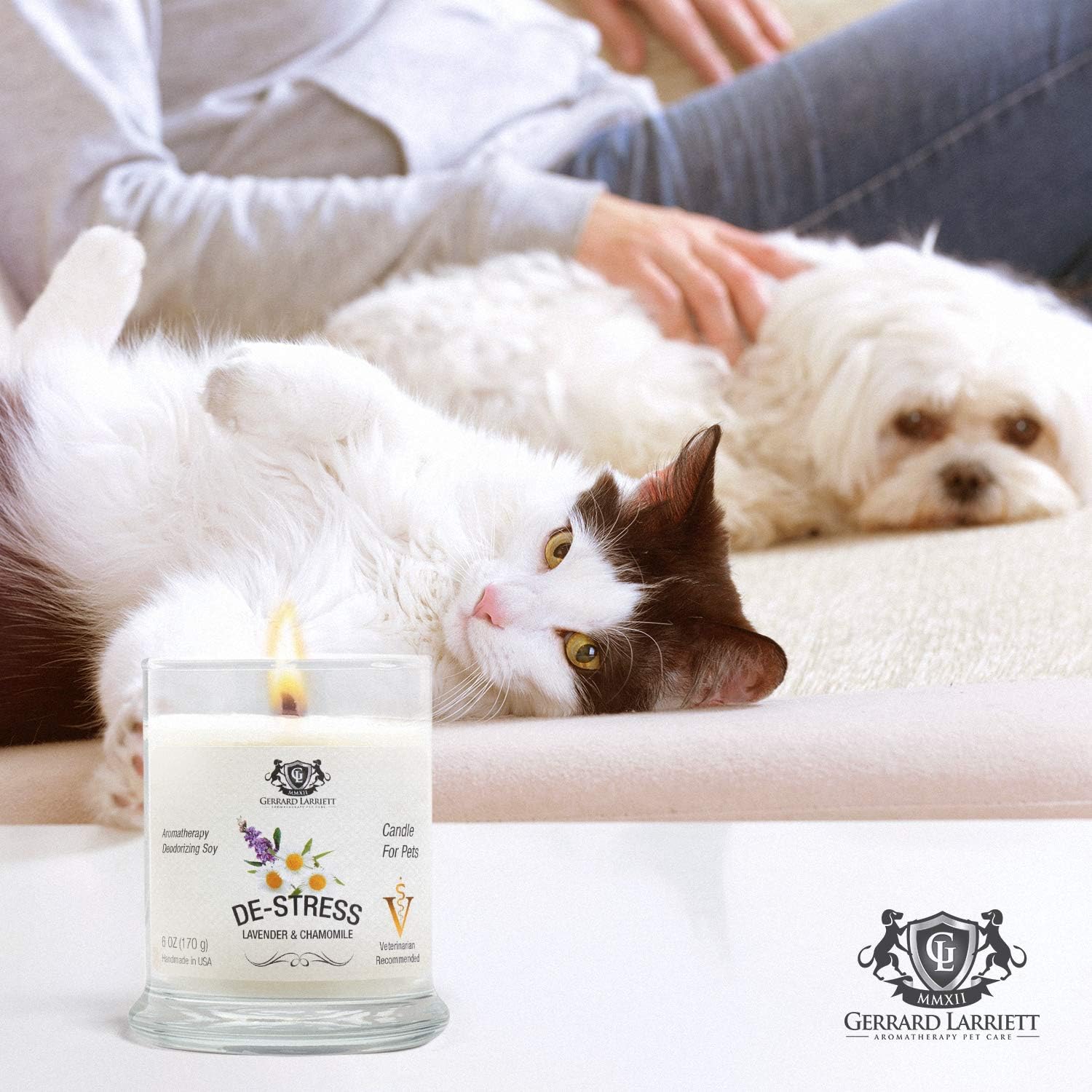 Lavender & Chamomile Aromatherapy Deodorizing Soy Candle for Pets, Pet Odor Eliminator & Animal Lover Gift - 6 OZ (170 g): Home & Kitchen