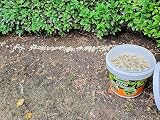 TOPBUXUS Grow Professional Boxwood Fertilizer 5kg for 100m2 No Yellow Leaves view 4