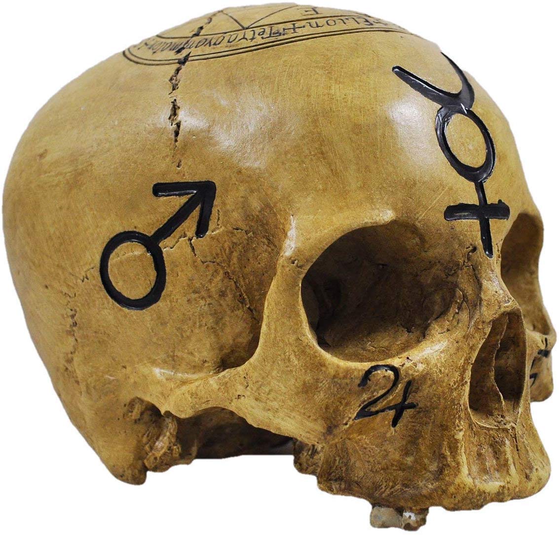 Skull Witchcraft Skull Decorative Figurine