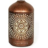 Earnest Living Essential Oil Diffuser Metal Diffuser 100 ml Timers Night Lights and Auto Off Function Home Office Humidifier Aromatherapy Boho Decor Gift
