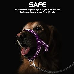 Pawaboo Dog Muzzle, Head Halter Collar for Dog, Pet