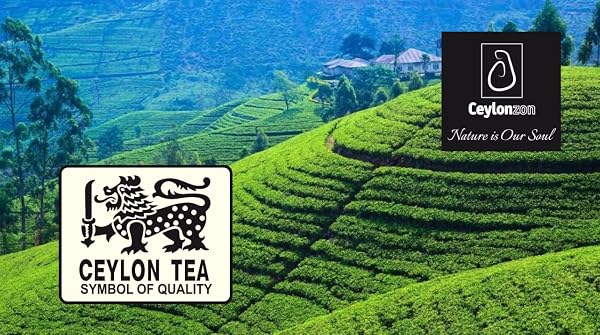 ENGLISH BREAKFAST TEA CLASSIC TASTE 25 INDIVIDUALLY FOIL-WRAPPED TEA BAGS,PERFECT STRONG, ROBUST & FLAVORY NATURAL BLACK TEA BAGS IDEAL FOR COZY MORNINGS OR TEA BREAKS