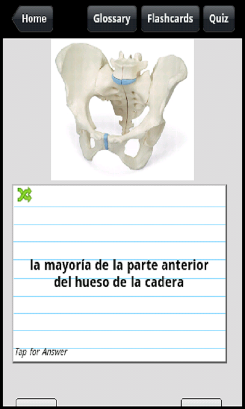 Spanish Medical Anatomy for English Speakers