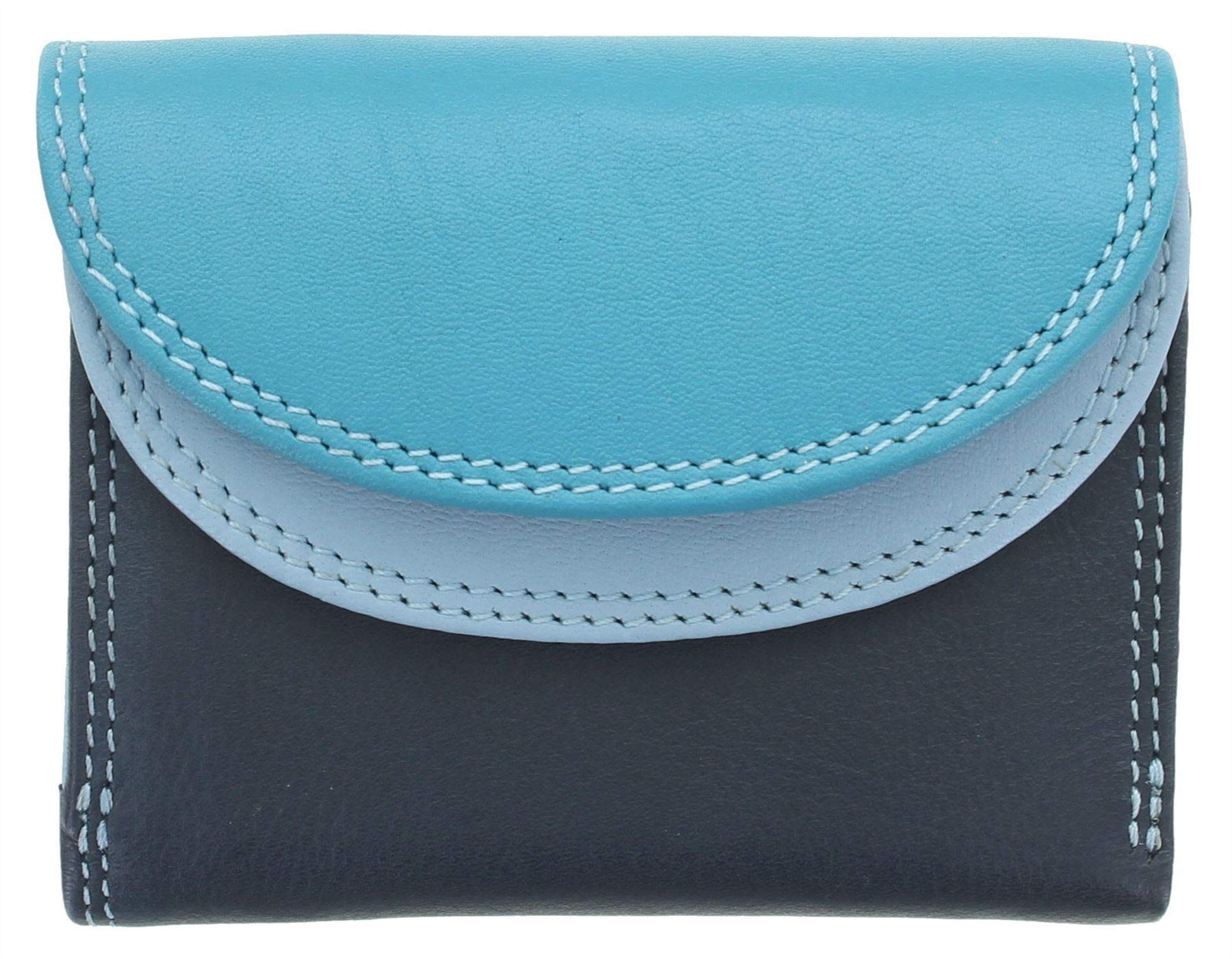 Visconti Rainbow Collection Small Leather Purse RFID and Tap and Go RB126 Blue Multi