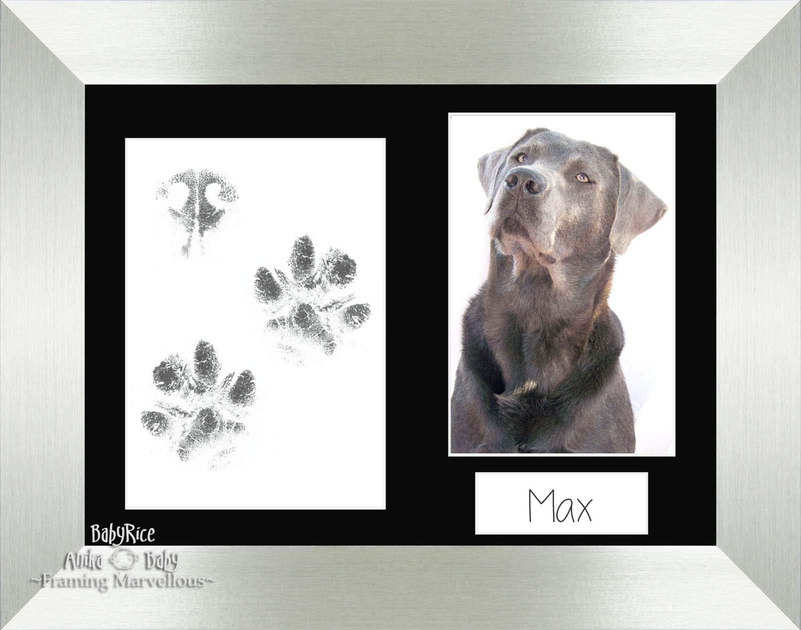 BabyRice Pet Dog Paw Print Pawprints Kit Brushed Silver Photo Picture Display Frame with Black Mount Set Pug Cat Keepsake Memory Inkless Wipe Personalise Yourself Gift