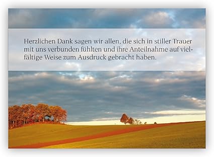 5 Stuck Trauer Dankeskarten Mit Umschlag Danksagungen Im Set Mit Wald Landschaft Am Abend Herzlichen Dank Sagen Wir Allen Die Sich In Stiller Trauer Mit Und Verbunden Fuhlten Und Ihre Anteilnahme Amazon De Burobedarf