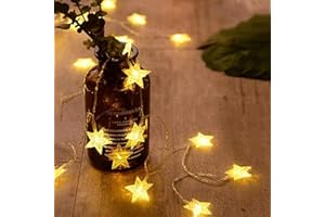 ANJAYLIA 20 LED Star String Lights 10 FT Fairy Christmas Lights Battery Operated for Indoor & Outdoor, Party, Wedding and Holiday Decorations Warm White