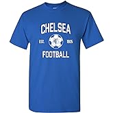 World Classic Soccer Football Arch Cup T Shirt