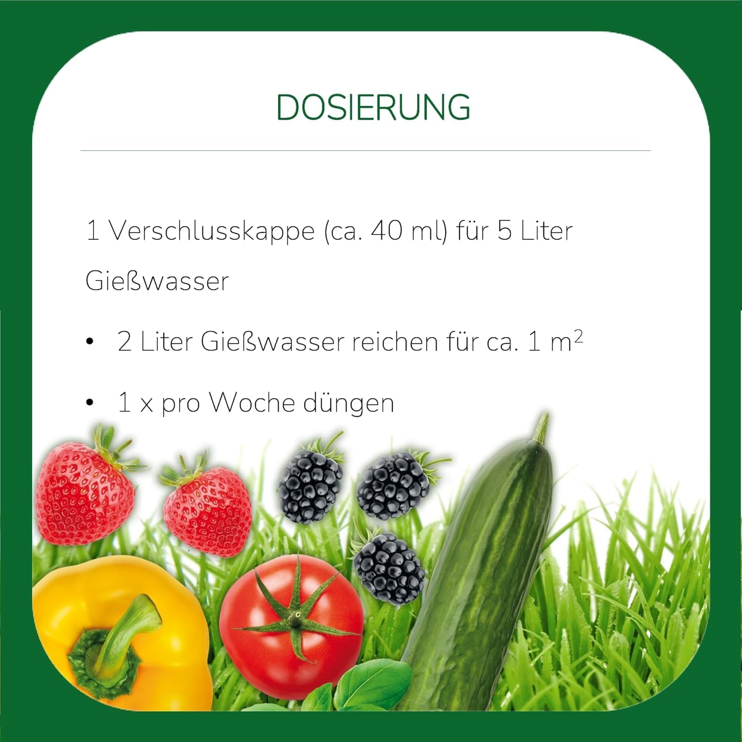 Substral Universal Flüssigdünger, 4L - Stärkt Pflanzenwachstum & Blütenbildung, mit Humifirst für alle Gartenpflanzen 6