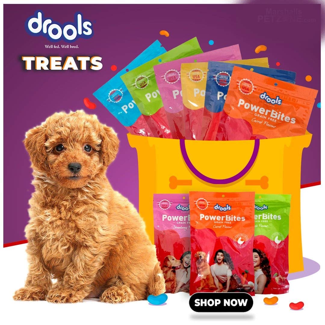 drools dog treats