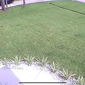 Customer image