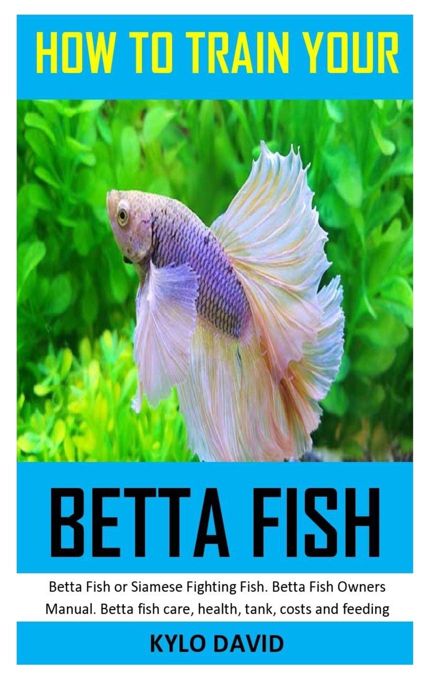 most popular betta fish