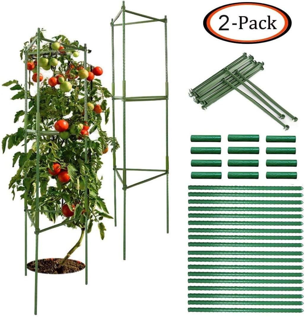 CZNDY 2 Pack Garden Plant Support,Stainless Steel Garden Plant Tomato