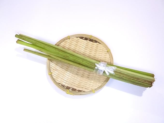 Amazon 秋田県産 天然山採り山菜 ふき ５００ｇ 小野商店 山菜 通販