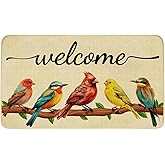 JWXCBIM Spring Door Mat Bird Welcome Decor Doormat, Summer Decorative Indoor Outdoor Non-Slip Mat for Home Entrance, Outside 