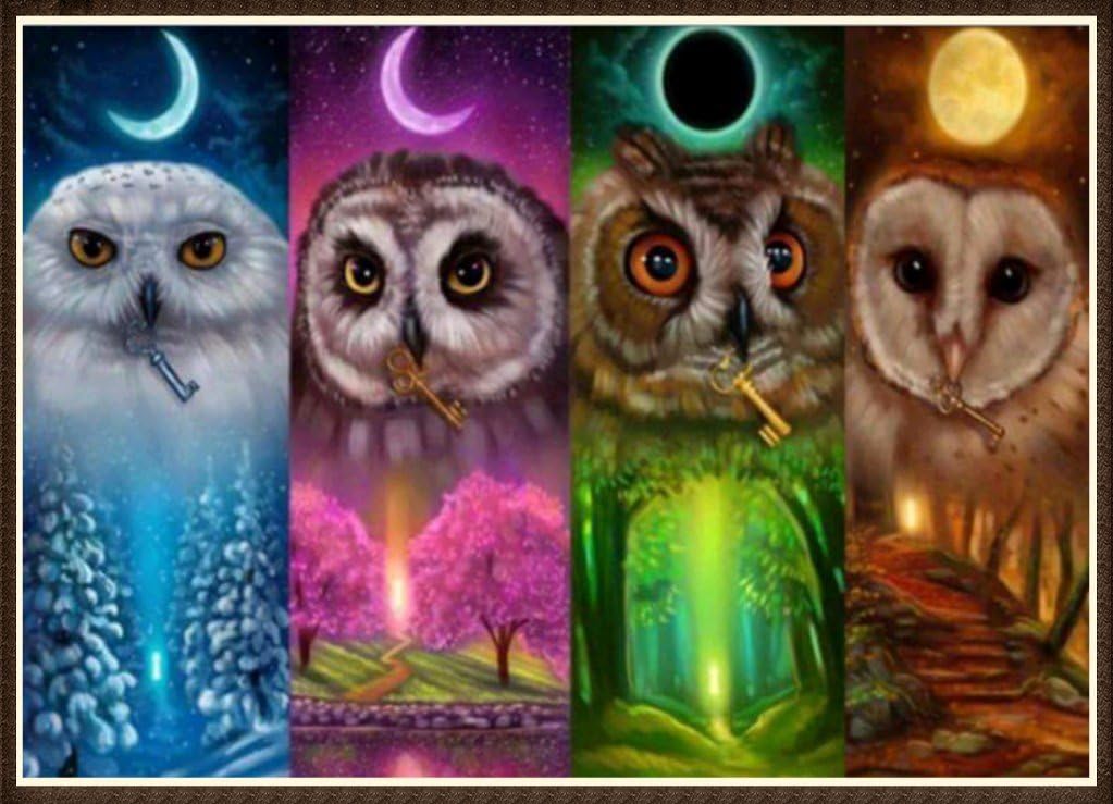 DIY 5D Diamond Painting by Number Kits Crystal Rhinestone Diamond Embroidery Paintings Pictures Arts Craft for Home Wall Decor (Season Owl,Frame Excluded)