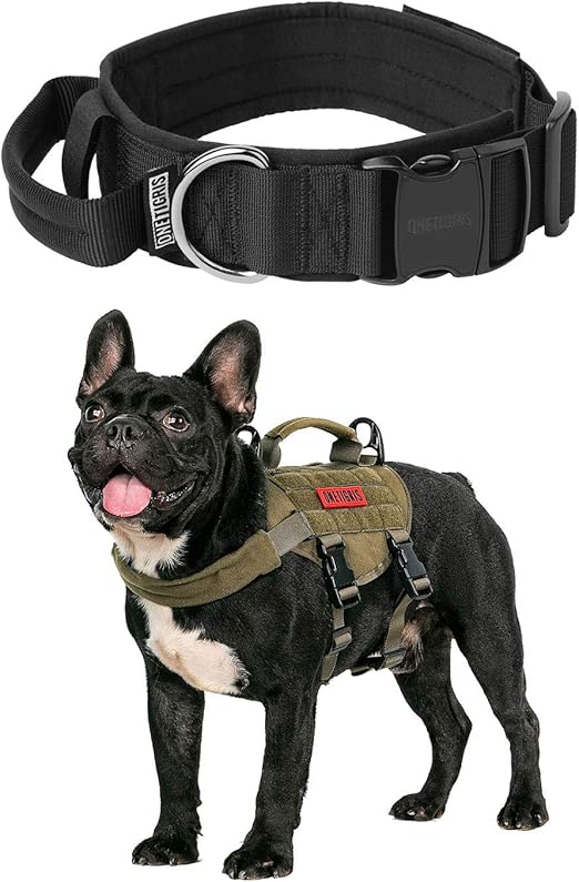 tough dog collars