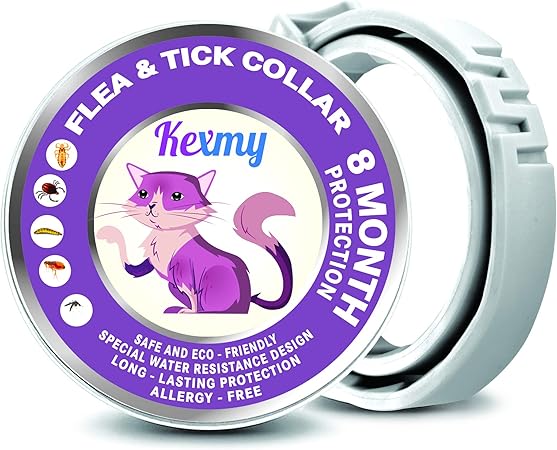 kitty mansions redwood