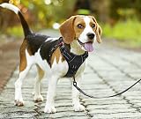 PoyPet No Pull Dog Harness Reflective Front Chest Back Clip Adjustable view 8