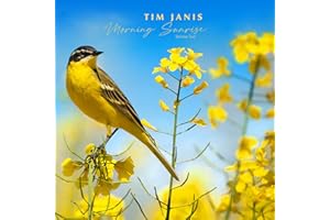 Tim Janis Morning Sunrise Volume Two Audio Traditional Hymns - Elevate Mornings with Relaxing Instrumental Hymns Soft Piano Melodies & Soothing Inspirations , Relaxation Music Songs for Stress Relief