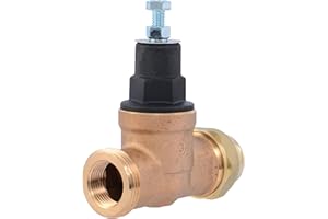Cash Acme EB45 Pressure Regulating Valve, Single Union, 3/4 Inch NPT Female x NPT Female, Poly Top, 60 PSI, PVA16P-SUTH-60