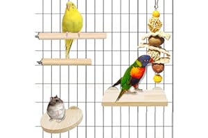 XLpeixin 5pcs Bird Perches Stand Natural Wood Parrot Perch,Bird Cage Toys Platform Stand for Parakeets Cockatiels Conures Parrots Love,Birds Hanging Chew Toys…
