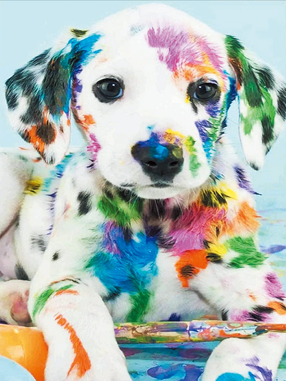 Cross Stitch Kits Stamped, OWN4B Colorful Dog Printed Pattern 11CT 14.2x18.1 inch DIY Embroidery Kit (Dog)