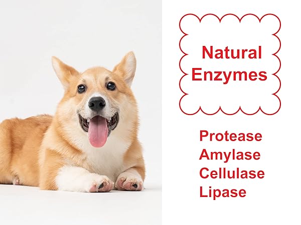 MR. PEANUT’S NATURALS ENZYMATIC PET STAIN AND ODOR REMOVER, PROFESSIONAL GRADE, BIODEGRADABLE AND PROUDLY MADE IN THE USA