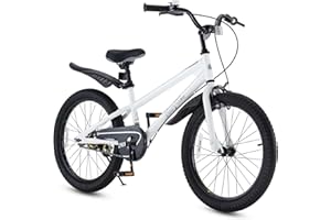 RoyalBaby Kids Bike EZ Balance to Pedal Dual Handbrake Toddlers Boys Girls Bicycle 12-20 Inch for Age 3-10 Years