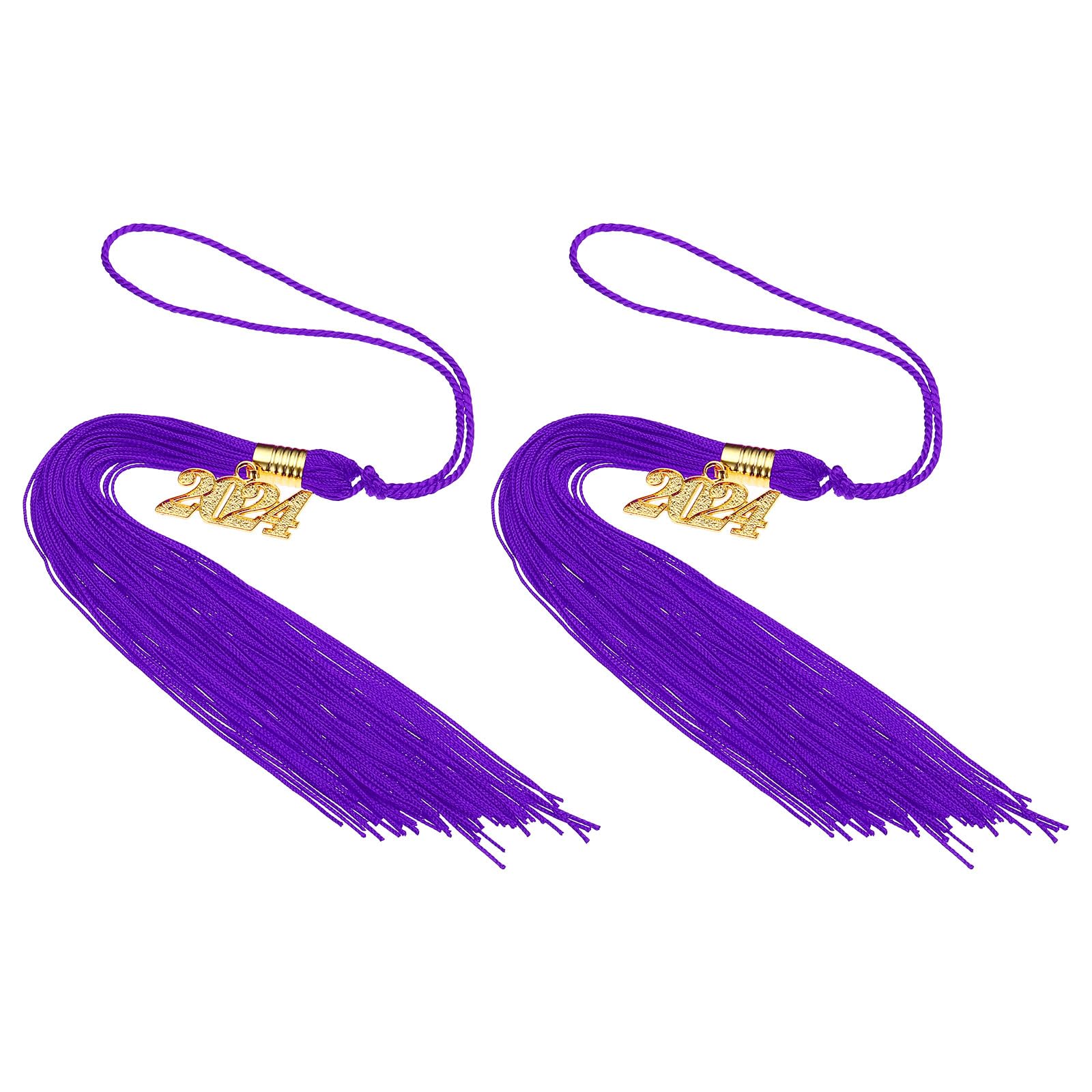 PATIKIL 2 Pcs Graduation Tassel with 2024 Gold Charm, Graduation Cap Tassel 2024 Year Graduation Tassels for Graduation Party Ceremonies Souvenir, Purple