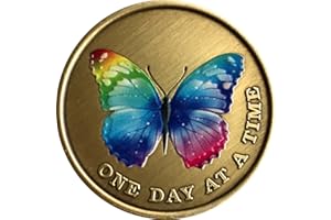 RECOVERYCHIP Color Rainbow Butterfly One Day at A Time Medallion Serenity Prayer Bronze Chip