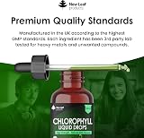 NEW LEAF PRODUCTS Liquid Chlorophyll Drops 100ml High Strength 100mg view 5