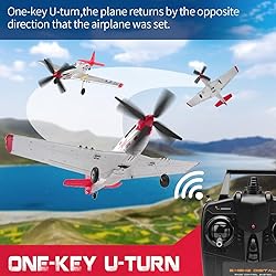 P51D RC Plane 4-CH RC Airplane Ready to Fly Park