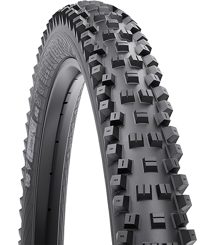 Amazon.com : WTB Ranger Mountain Bike Tire (29