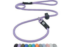 Hiado Slip Lead Dog Leash Reflective with Stopper Loop Rope Training No Pull for Small Medium Large Dogs 4ft Lavender