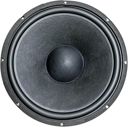 15 in woofer