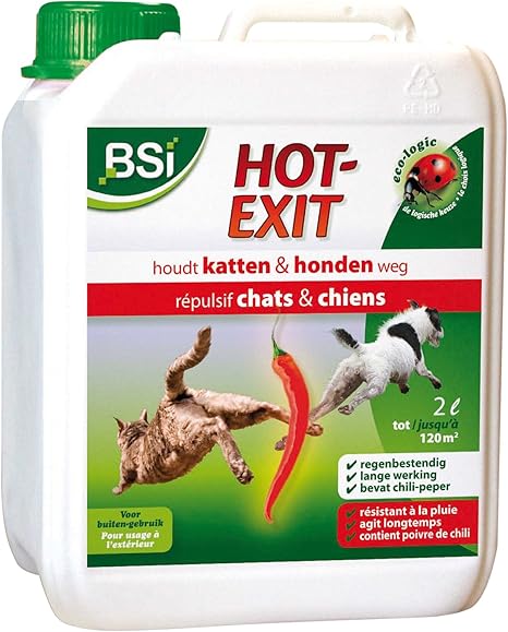 how to stop dog barking when left alone