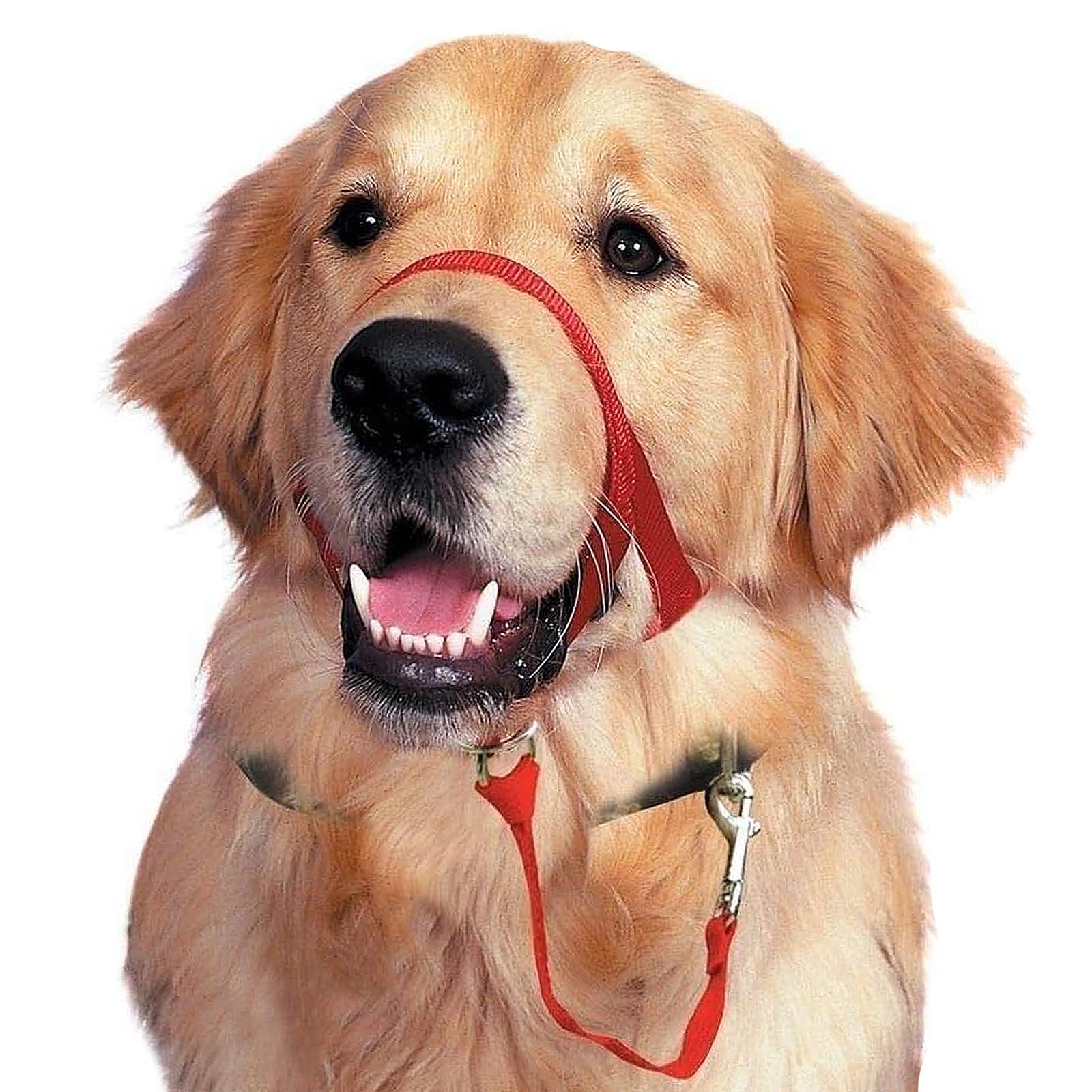 Photo 1 of BARKLESS Soft Dog Head Collar, No Pull Training Tool for Medium Large Dogs on Walks, Gentle Halter for Heavy Pullers, Includes A Training Guide