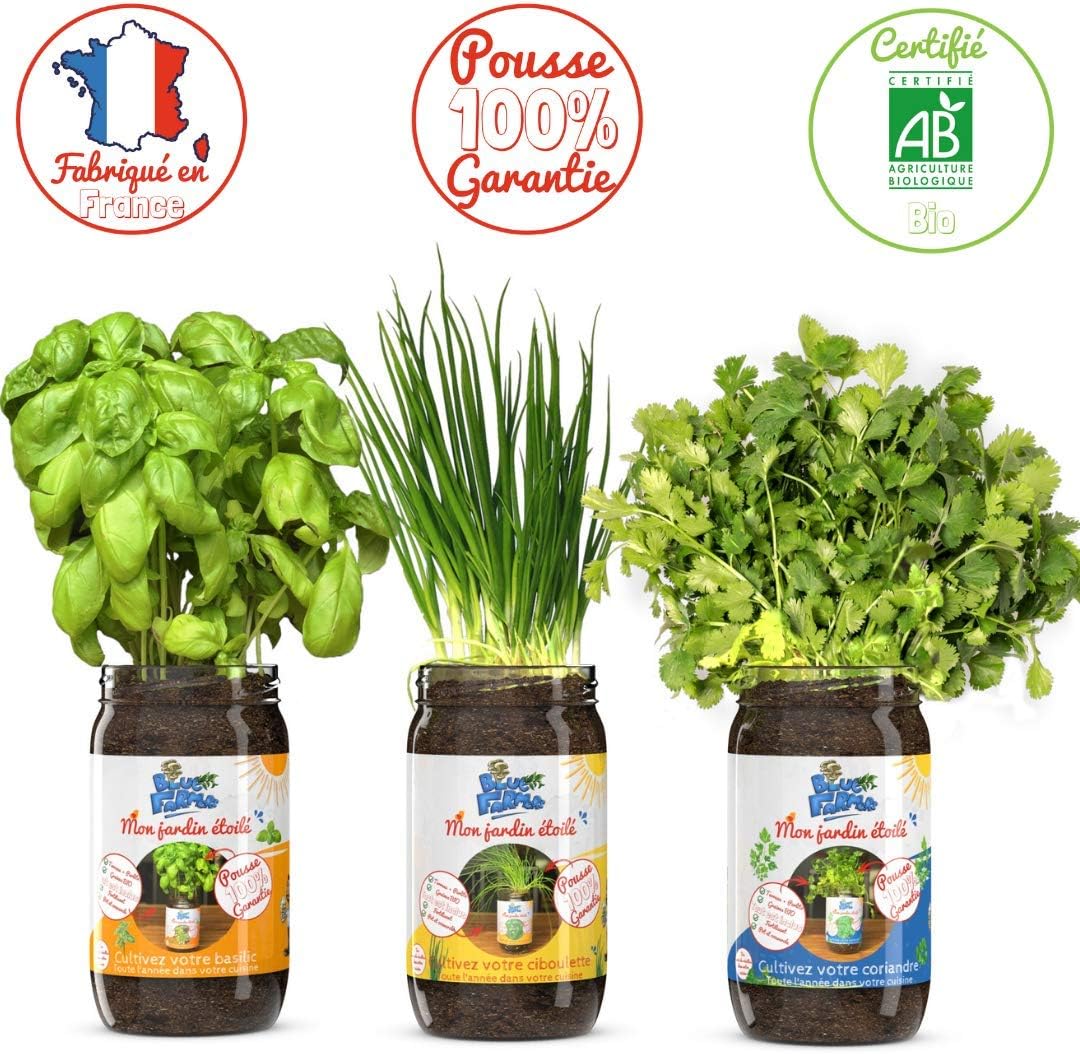 Blue Farmers - My Indoor Garden - Organic Basil / Chives and Coriander - Grow Your Organic Plants All Year Round - Original Gift - Everything included no transplant needed.