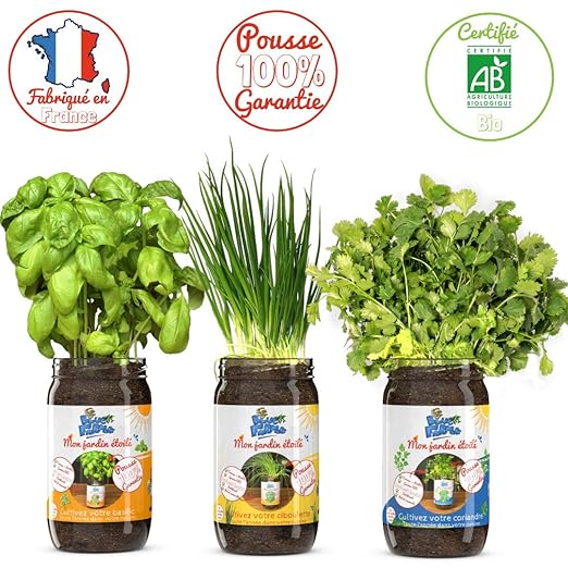 Blue Farmers | Hierbas aromáticas para crecer | Garantía de ...